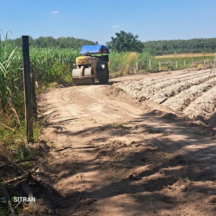 Đất nền thổ cư 150m² tại Tân Phong, Tây Ninh - Giá chỉ 120 triệu!