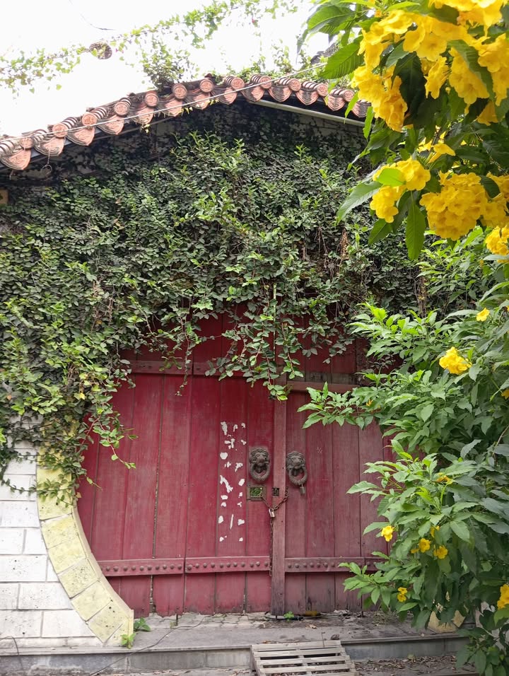 Nhà hàng sân vườn 600m² tại Đường Hoàng Văn Bổn, Biên Hòa - Chính chủ cần bán gấp!