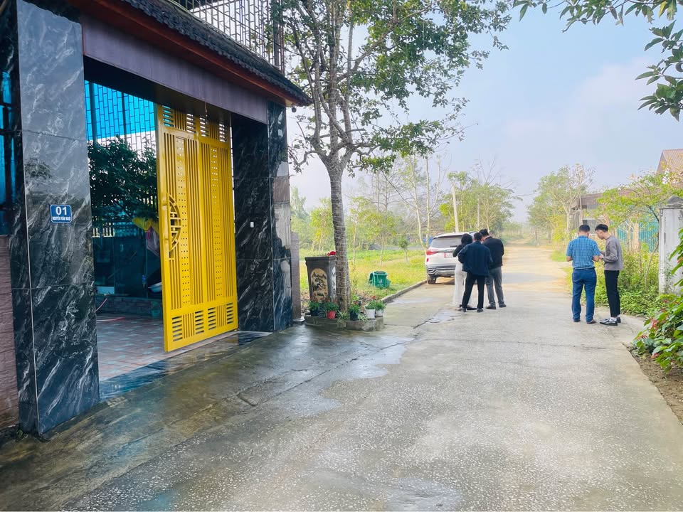 Đất nền Nghi Ân, Khối Kim Chi 127.3m² giá 2.9 tỷ - Sát khu đấu giá lý tưởng!