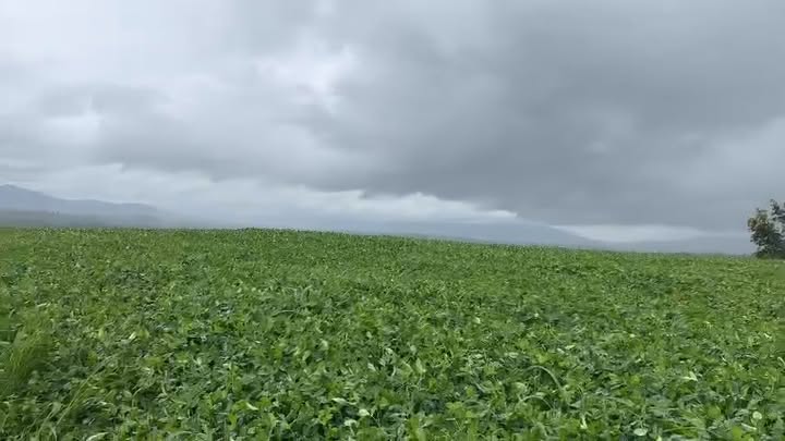 Đất nông nghiệp 10.05ha tại Lơ Pang, Gia Lai - Giá chỉ 11 tỷ!