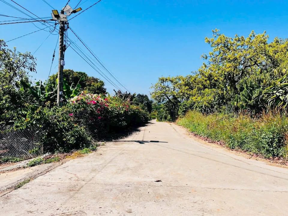 Đất thổ cư xã Nam Ban Lâm Hà 620m² giá 1.65 tỷ - Vị trí trung tâm tiện ích đầy đủ!