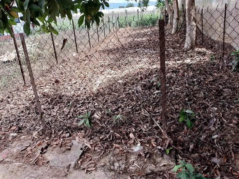 Đất nền xã Ka Đô, Lâm Đồng 97m² giá 695 triệu - Cơ hội đầu tư tuyệt vời!