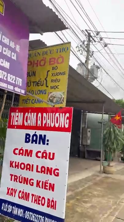 Đất thổ cư mặt đường 767 Trảng Bom 150m² giá 4 tỷ - Pháp lý sổ hồng riêng!