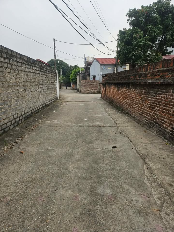 Đất nền Yên Lư Bắc Giang 100m² giá 1 tỷ - Cơ hội đầu tư lý tưởng!