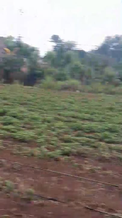 Đất ở xã Quảng Điền, huyện Krông A Na 250m² giá chỉ 200 triệu - Thích hợp xây nhà