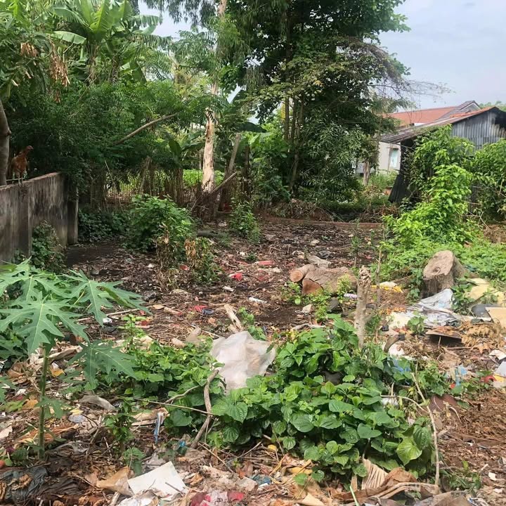 Đất mặt tiền Quốc lộ 91, Phường Bình Đức, 509m² - Kinh doanh thuận lợi!