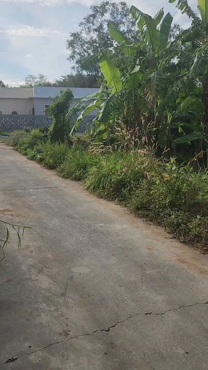 Đất thổ cư 80m² tại Phước Tân Xuyên Mộc - Bà Rịa - Vũng Tàu 370m² chỉ 1.6 tỷ - Đầu tư sinh lời ngay!