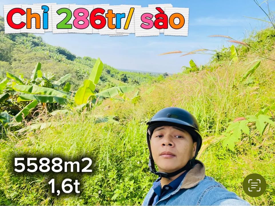 Đất vườn 5588m² tại Bình Giã, Châu Đức giá chỉ 1.6 tỷ - Đầu tư sinh lời ngay!