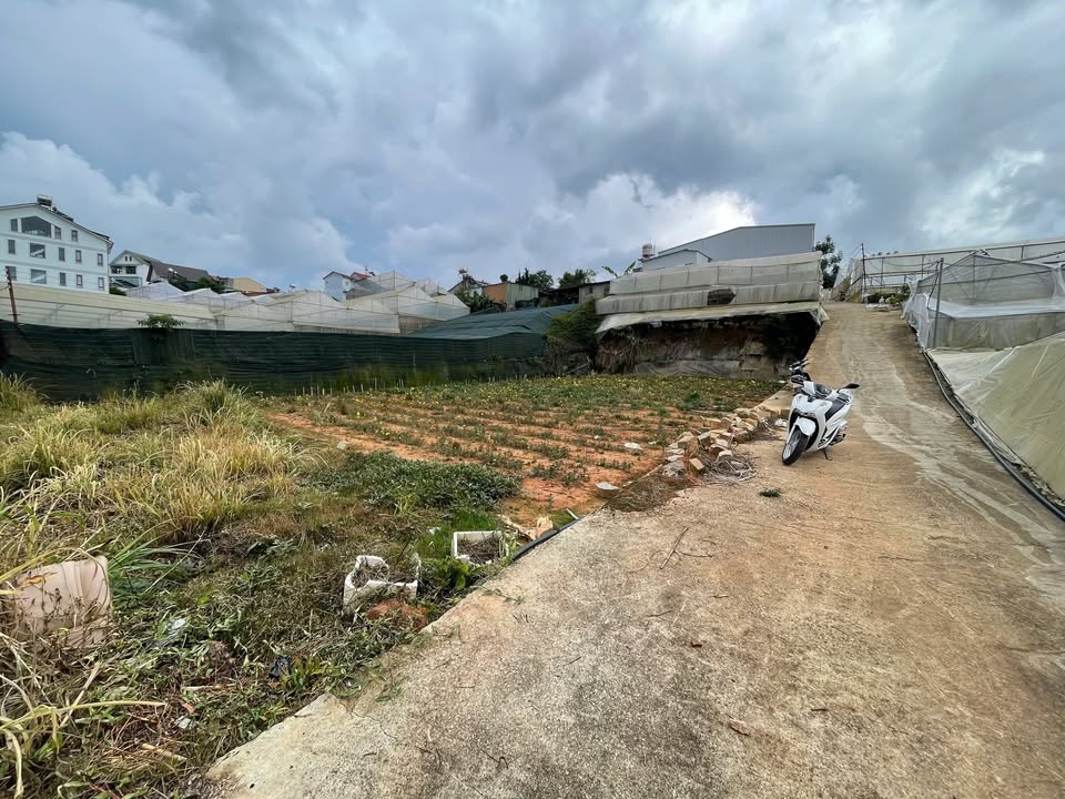 Đất nền đường Mai Xuân Thưởng, Phường Lâm Viên 200,6m² giá 6.9 tỷ - Cơ hội đầu tư hiếm có!