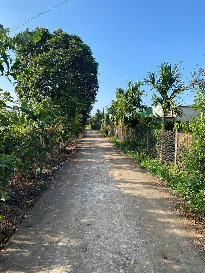 Đất thổ cư 26m² mặt tiền đường bê tông xã Ea Đar giá 800 triệu - Cơ hội đầu tư lý tưởng!