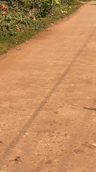 Đất nền Cư Huê, Huyện Ea Kar, 550m² giá 6.6 tỷ - Cơ hội đầu tư tuyệt vời!