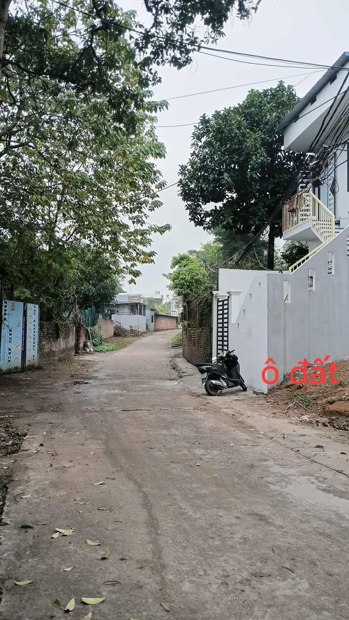 Đất nền Thanh Miếu, Việt Trì 70m² giá 3.1 tỷ - Vị trí đẹp, giao thông thuận lợi!