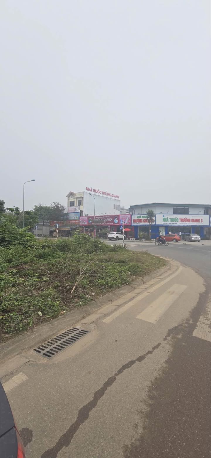 Đất mặt đường Vũ Thê Lang, Phường Thanh Miếu, 133m² - Cơ hội đầu tư đỉnh cao!