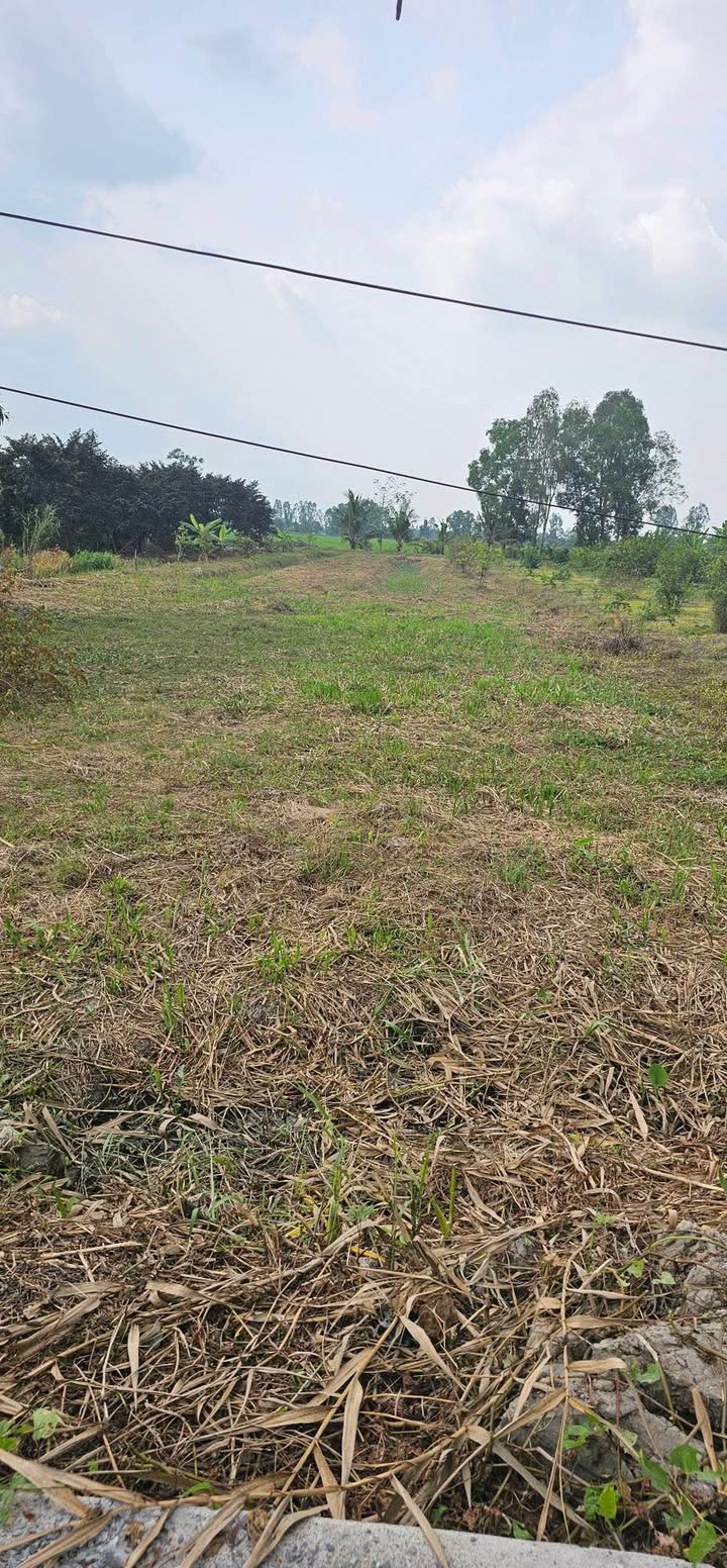 Đất thổ cư 942m² xã Trường Long Tây, Cần Thơ - Giá chỉ 760 triệu, cơ hội đầu tư tuyệt vời!