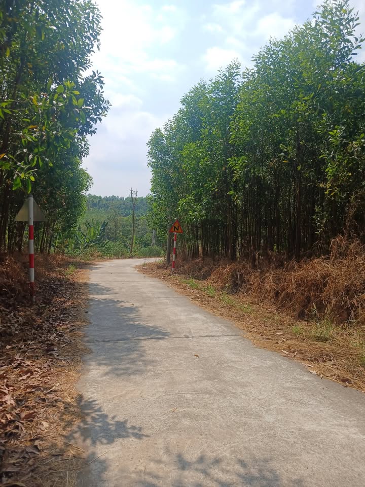 Đất nông nghiệp Sơn Bình Châu Đức 1080m² giá 1.7 tỷ - Đầu tư tiềm năng!