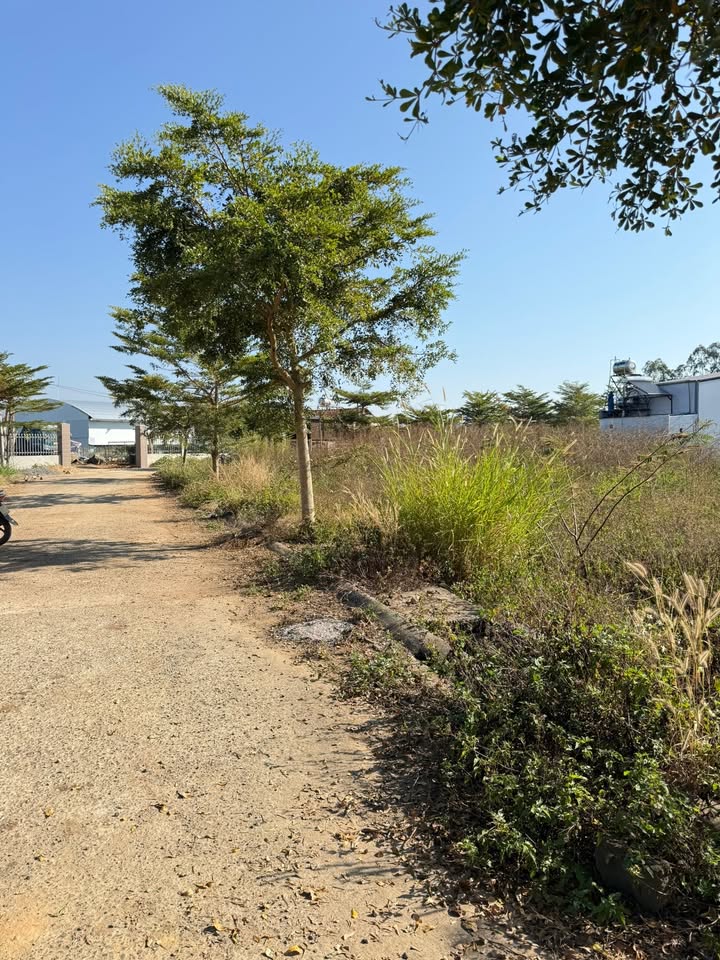 Đất nền tại khu trường lái Lạc Hồng, Đức Trọng, Lâm Đồng - Giá chỉ 1.4 tỷ!