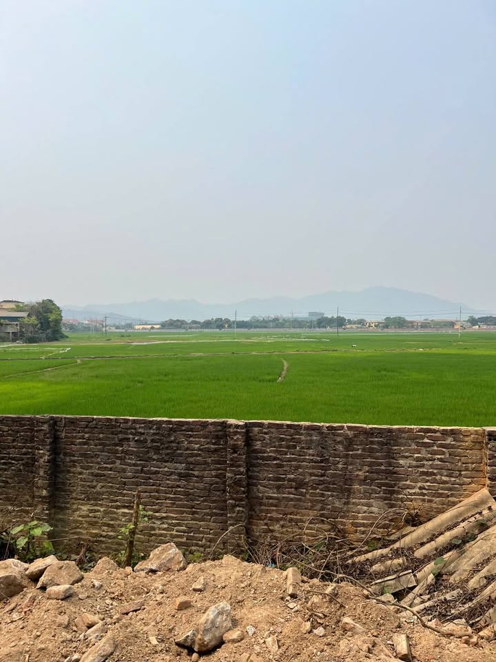 Đất nền Thôn 1 Lưỡng Vượng 294m² giá 2 tỷ - Cơ hội đầu tư hấp dẫn!