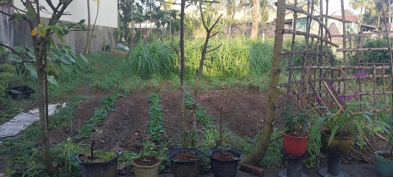 Đất ở phường Trương Quang Trọng, Quảng Ngãi 312m² - Hướng Đông, Giá Thương Lượng!