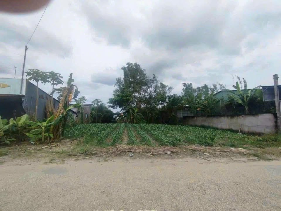 Đất nền mặt tiền đường Bạch Đằng, Phường 4, TP Sóc Trăng - Diện tích 682m², giá chốt hấp dẫn!