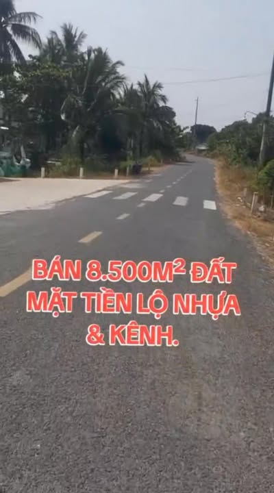 Đất nông nghiệp mặt tiền Lộ 56, Tham Đôn, Mỹ Xuyên, 80.000m² - Cơ hội đầu tư hấp dẫn!