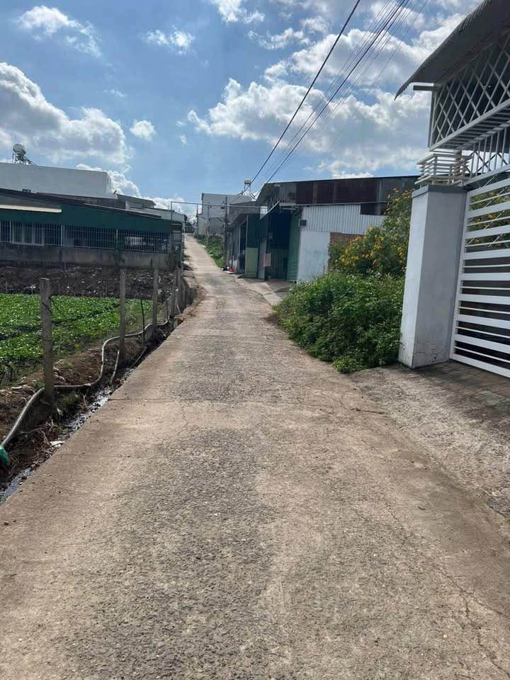 Đất nền tại thị trấn Liên Nghĩa, 110m² giá chỉ 1.25 tỷ - Tiềm năng kinh doanh lớn!