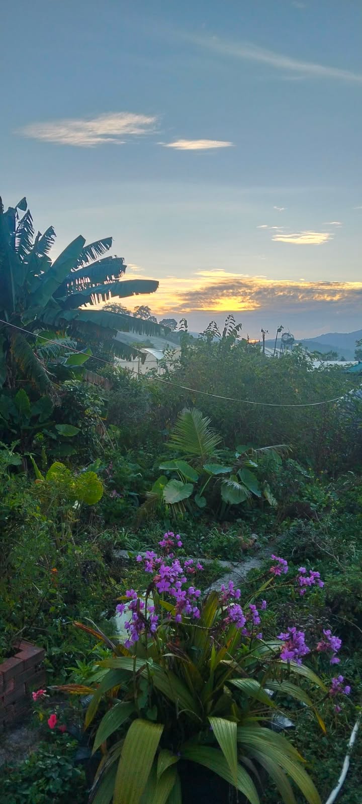 Đất thổ cư 1m² tại Xã Hiệp Thạnh, Đức Trọng giá chỉ 75 triệu - Cơ hội đầu tư hấp dẫn!