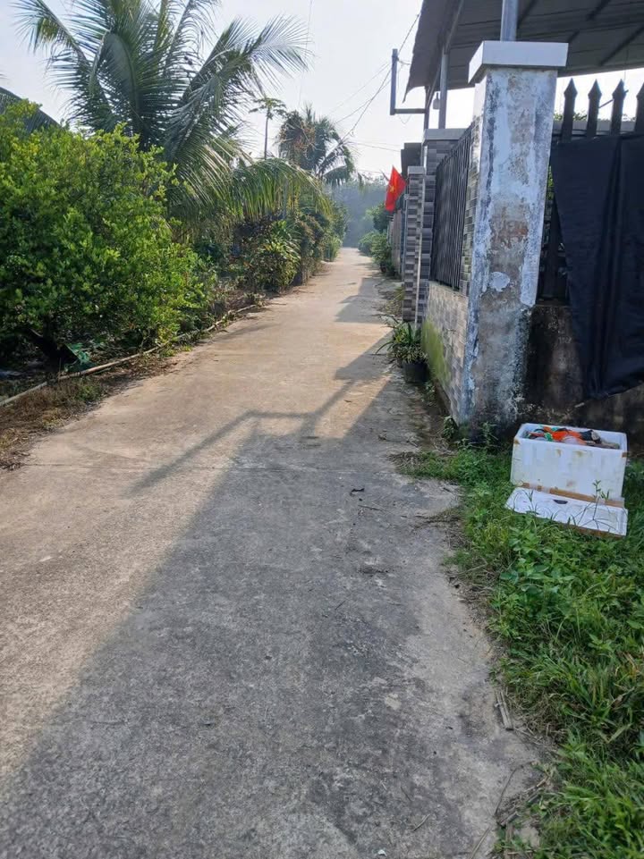 Đất nền Lộc An 99m² giá chỉ từ 200 triệu - Đầu tư sinh lời ngay!