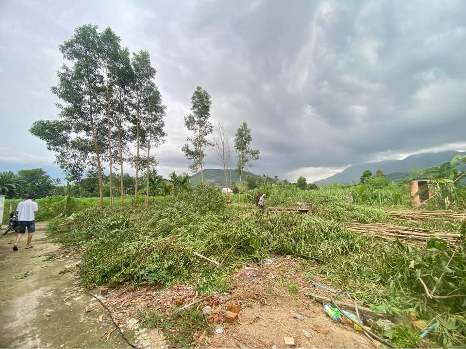 Đất vườn Nghĩa Thắng, 400m² giá 600 triệu - Cơ hội đầu tư hiếm có!