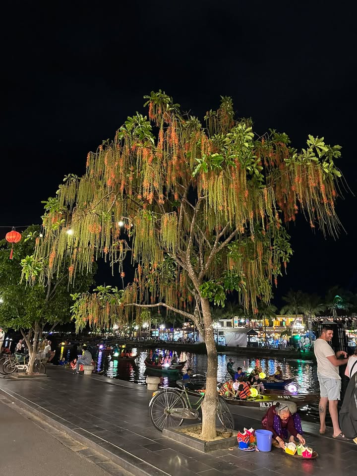 Lô đất mặt tiền kinh doanh Nguyễn Phúc Chu Hội An 185m² - Cơ hội đầu tư sinh lời hấp dẫn!