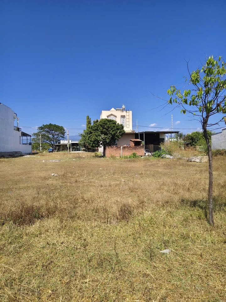 Đất thổ cư khu phố 6 Ninh Sơn 168m² giá 585 triệu - Đầu tư sinh lời lý tưởng!