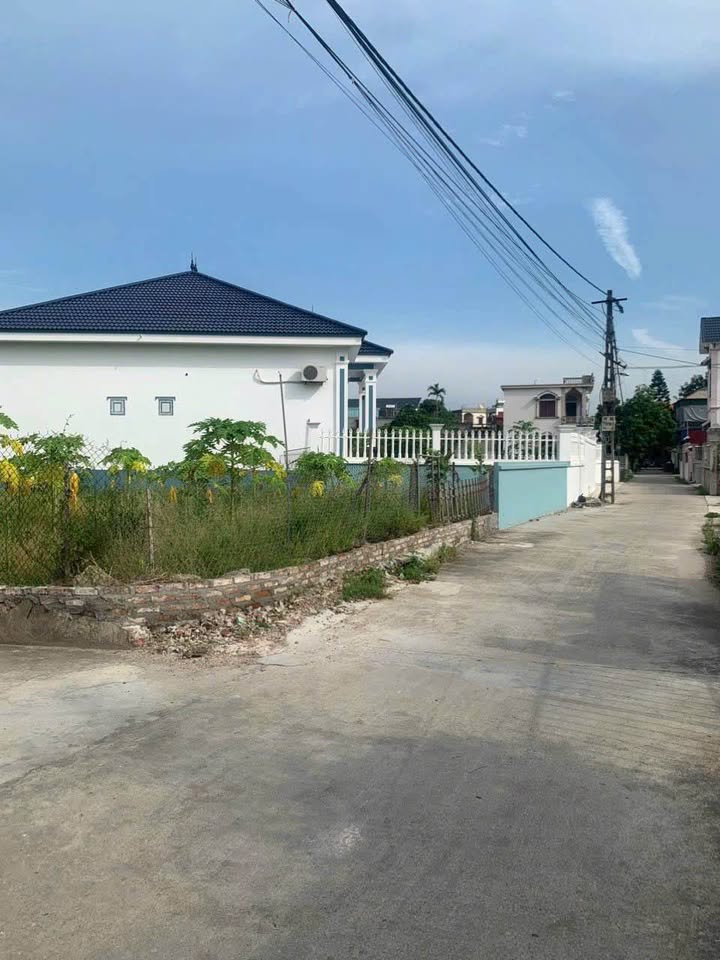 Lô đất đẹp tại Đông Thượng, Gia Lộc, 88m² - Đầu tư sinh lời hấp dẫn!