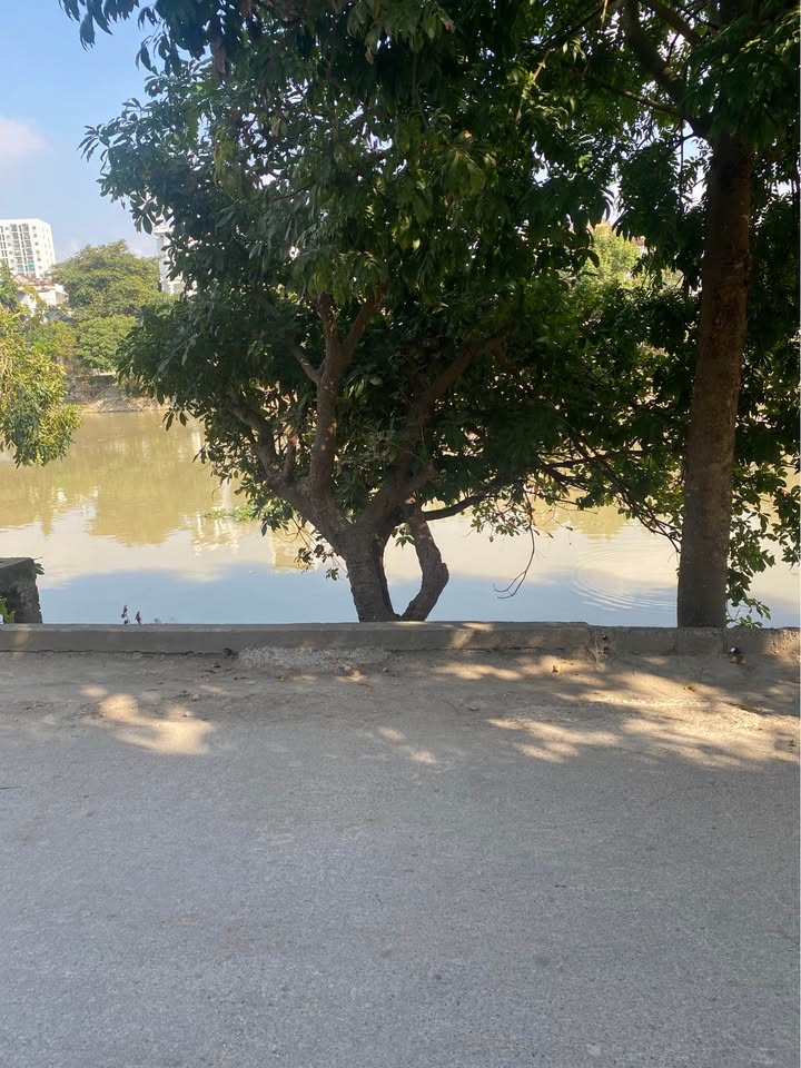 Bán nhà 3 tầng tại Đông Tiến, Thanh Hóa 43m² giá 3 tỷ - Thiết kế hiện đại, sẵn sàng vào ở!