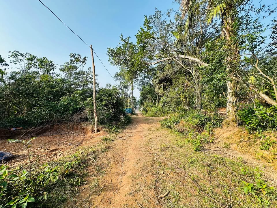 Đất nền Vĩnh Mới Việt Tiến, Thạch Hà 1381m² giá 1.8 tỷ - Cơ hội đầu tư hấp dẫn!