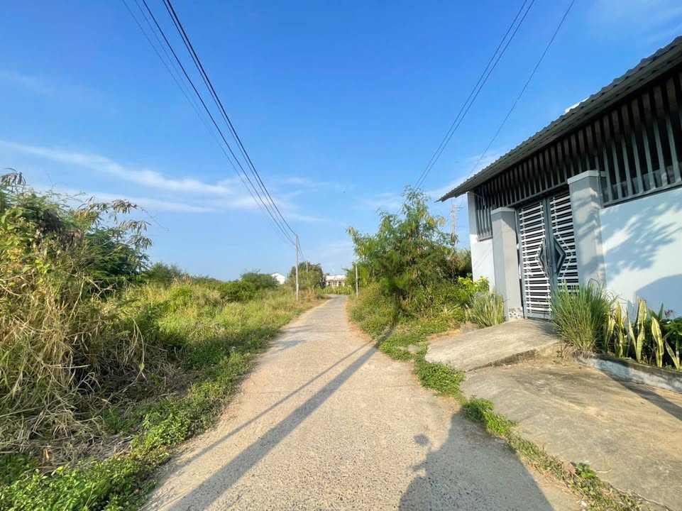 Lô Đất Thổ Cư Thôn Đại Thiện 1, Di Linh, 1622m² - Sổ hồng chính chủ!