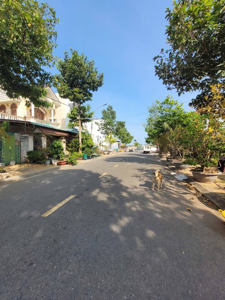 Đất KDC Bắc Xuân An Phường Xuân An 99m² giá 3.2 tỷ - Tiện ích đầy đủ, gần biển!