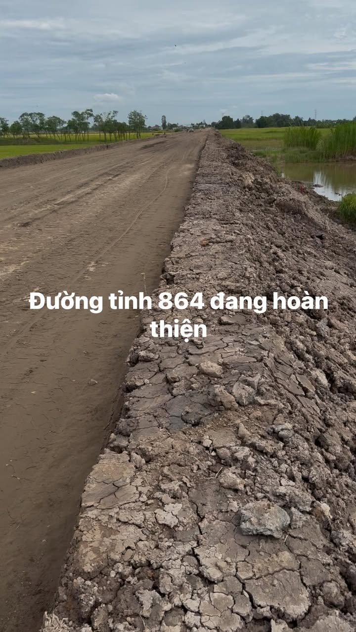 Đất nền Huyện Châu Thành 450m² giá 950 triệu - Cơ hội đầu tư hiếm có!