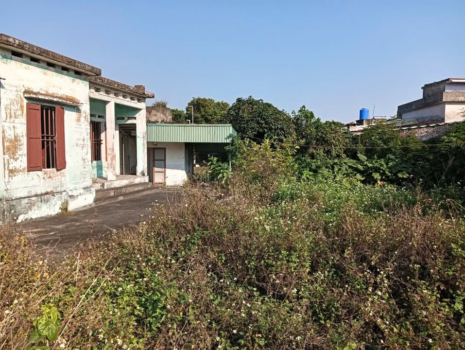 Đất nền Quỳnh Hoa, Quỳnh Phụ 328m² giá 9xx triệu - Sổ đỏ chính chủ