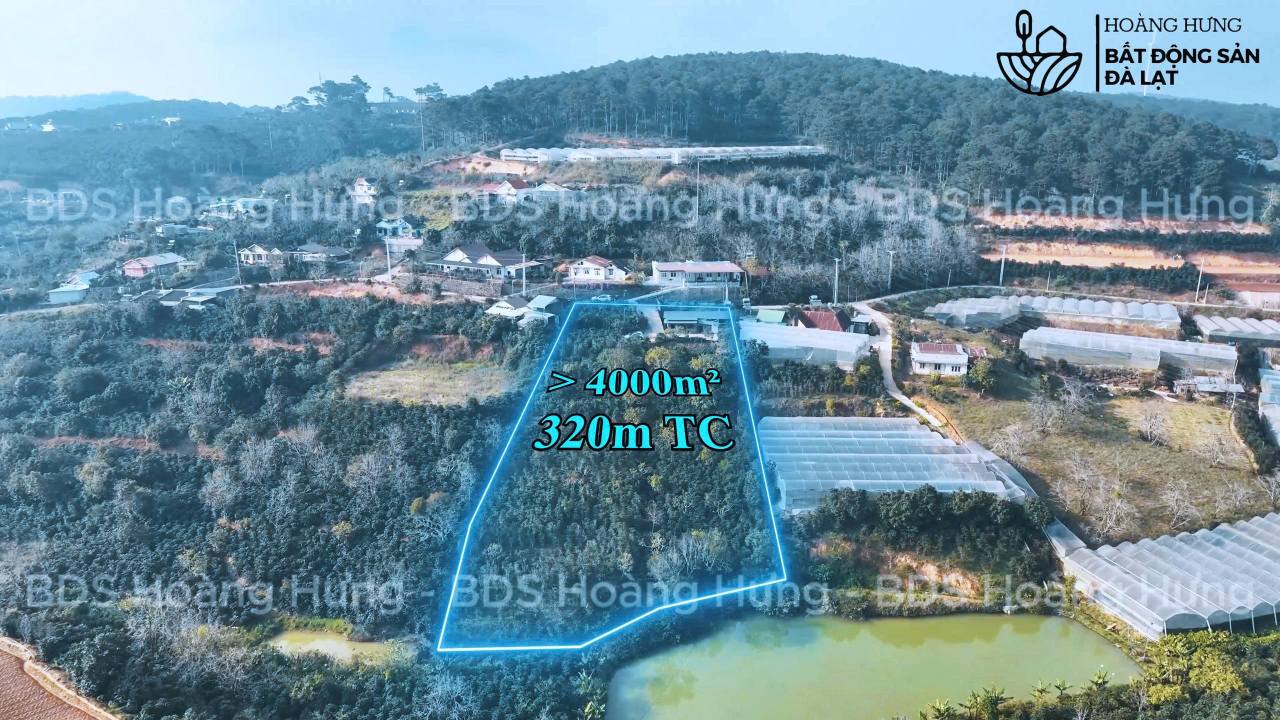 Đất xây dựng 4000m² tại Đà Lạt - Nhà gỗ xinh xắn, giá 26 tỷ - Cơ hội đầu tư hiếm có!