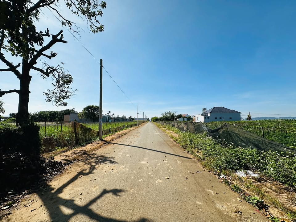 Đất nền chính chủ tại Tổ 34, Xã Phú Hội, 114m² giá 1.6 tỷ - Pháp lý hoàn chỉnh!