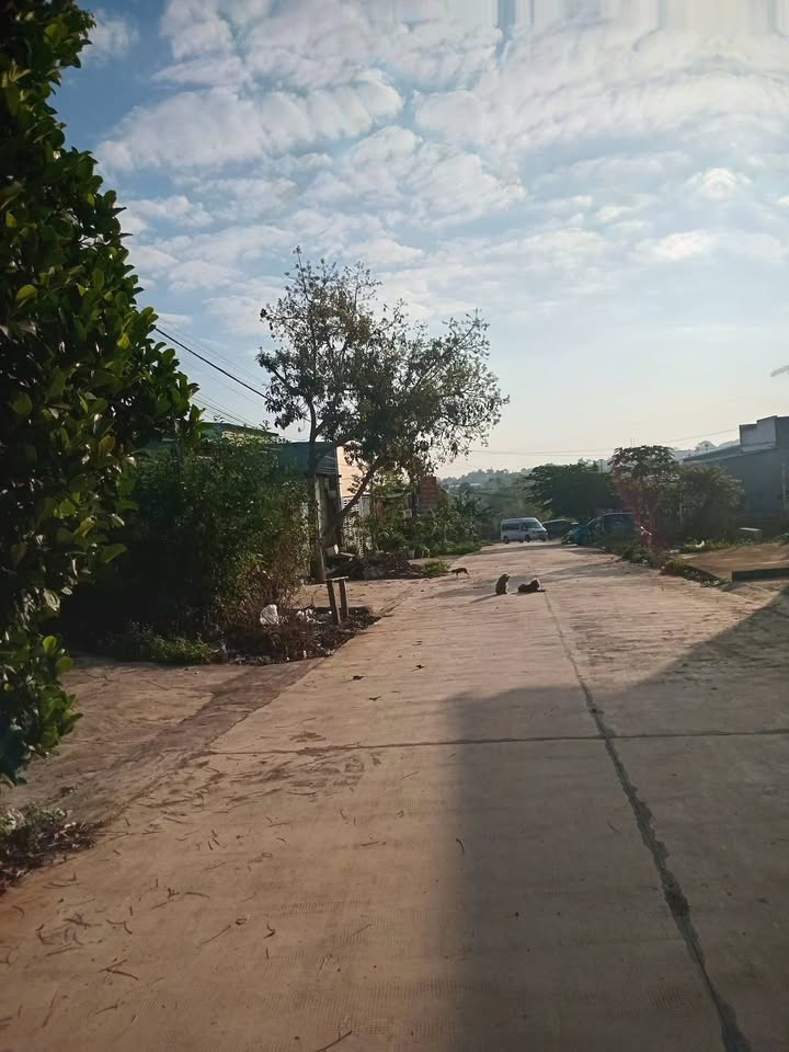 Nhà cho thuê tại đường Quyết Tiến, Pleiku 2.2 triệu - Sân ô tô rộng rãi