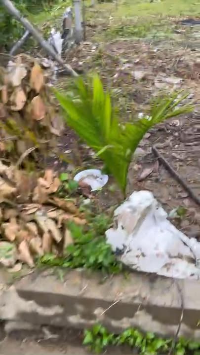 Đất nền Phường Điện Nam Trung 200m² giá 7xx triệu - Cơ hội đầu tư tuyệt vời!