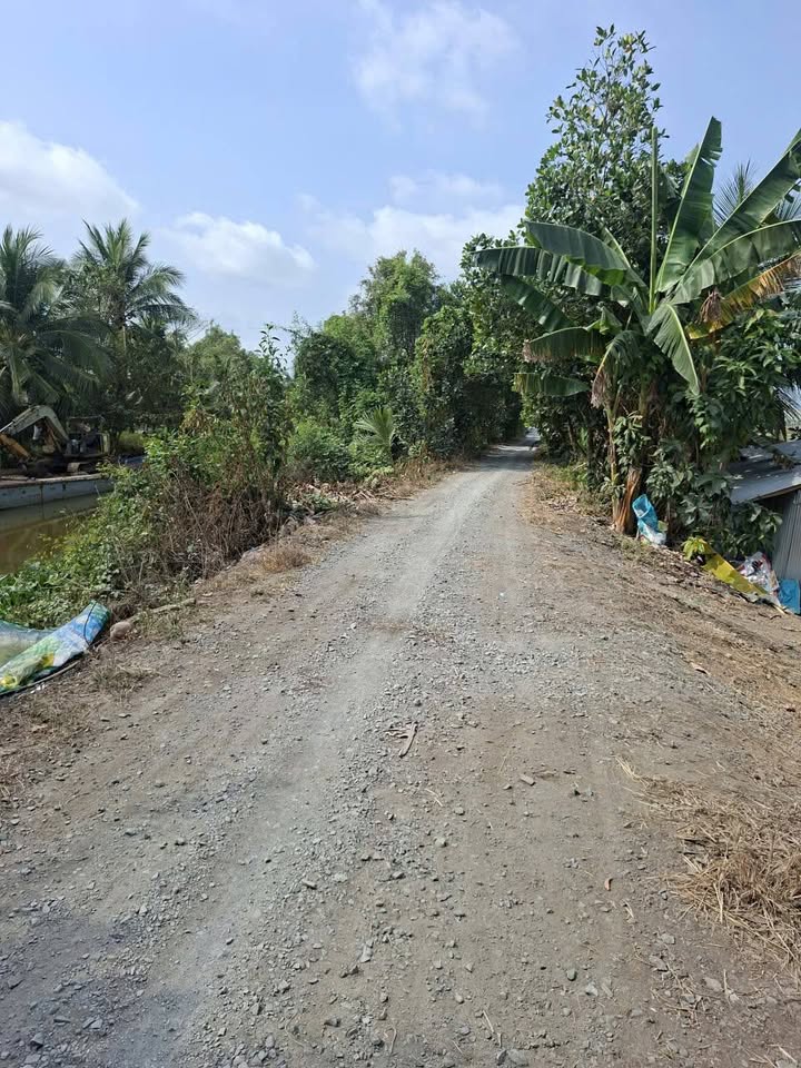 Đất nền Ấp Hai Vụ, Tân Thạnh, Long An 14,9 Công giá chỉ 160 triệu - Cơ hội đầu tư vàng!