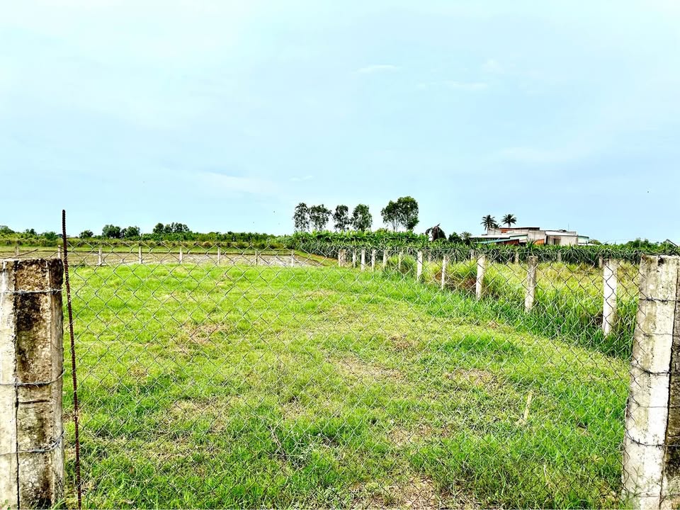 Đất nền 1166m² tại Hàm Chính, Bình Thuận - Giá chỉ 350 triệu - Sổ đỏ chính chủ!