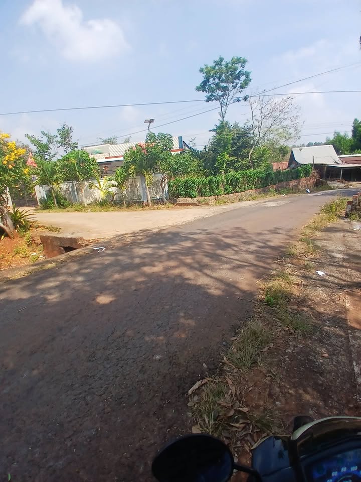 Đất nền Ấp Thạnh Tây, Xã Lộc Tấn, 1007m² giá 195 triệu - Cơ hội đầu tư vàng!