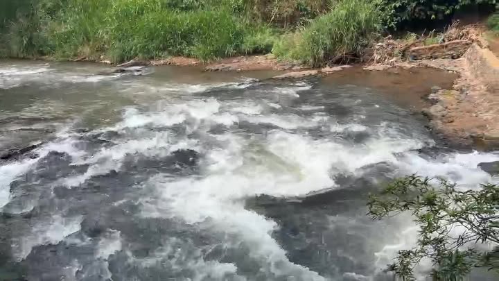 Farm Sông Nhạn 13.000m² giá 4.55 tỷ - Đầu tư lý tưởng với view suối tuyệt đẹp!