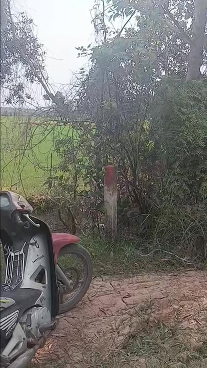 Đất nền xã Mỹ Thạnh Đông, huyện Đức Huệ 2812m² - Tiềm năng đầu tư lớn!