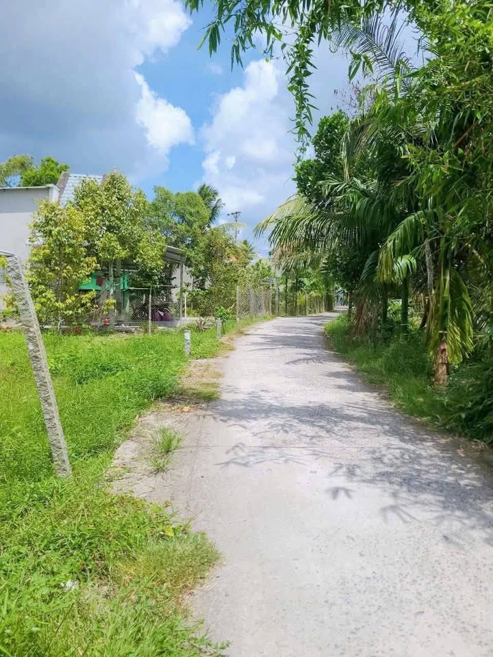 Đất nền Rạch Chuối, Phường An Bình, Cần Thơ 98m² - Giá chỉ 790 triệu, thương lượng nhanh!