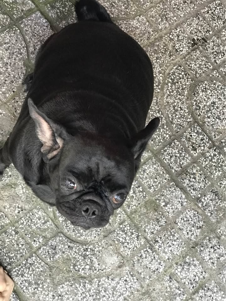 Đất nền Xã Hải Lâm, Huyện Hải Lăng 125m² giá 1.7 tỷ - Cơ hội đầu tư lý tưởng!