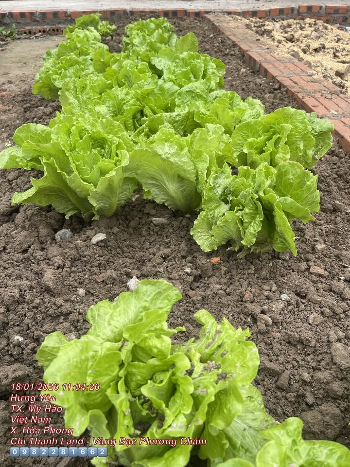 Nhà riêng Đào Dương, An Dương 66m² giá 900 triệu - Ô tô vào tận nơi!