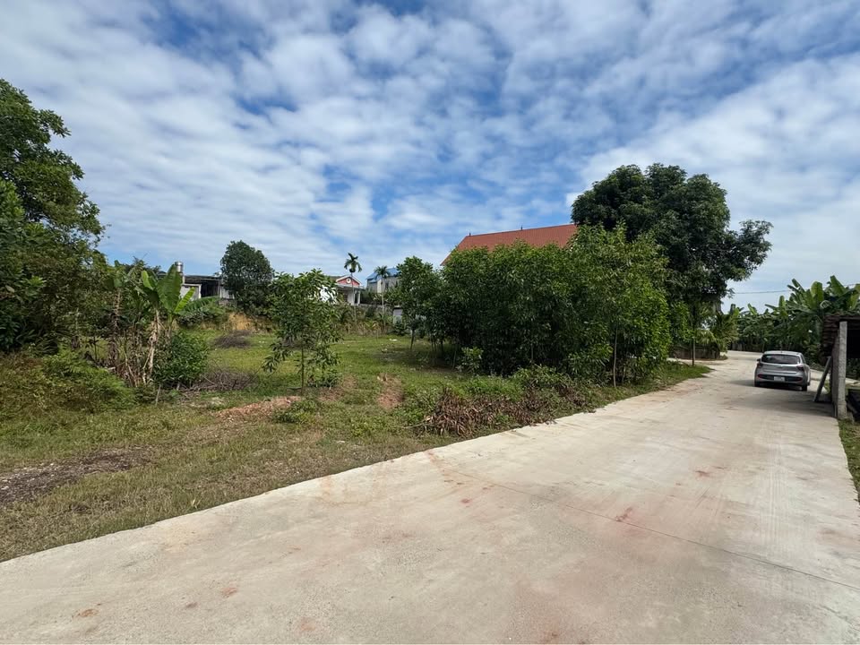 Đất thổ cư Hồng Tiến 1356m² giá 7 tỷ - Đầu tư sinh lời ngay!